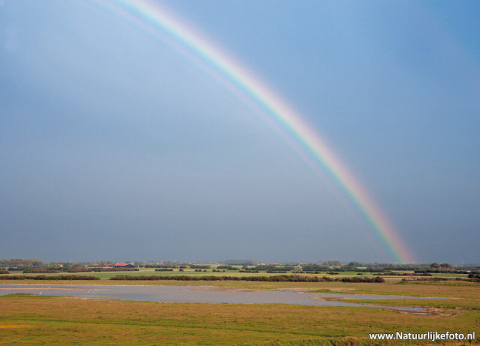 Regenboog